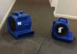 Emergency Carpet Cleaning and drying on the Gold Coast