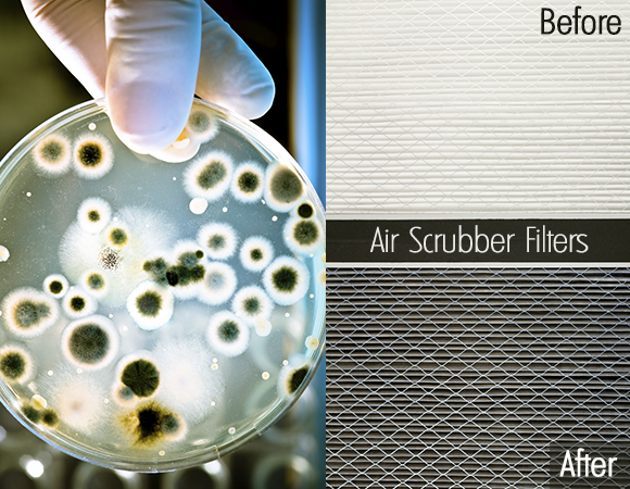 Hire Air Scrubbers in Sydney