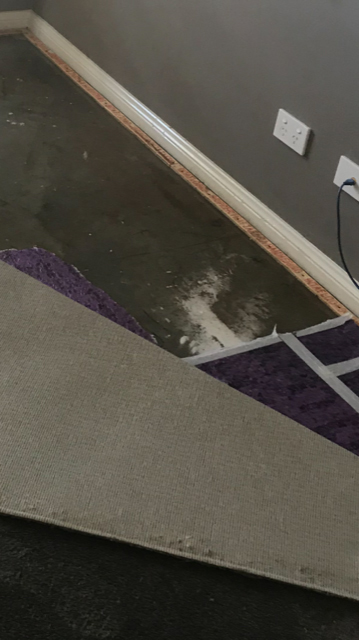 drying wet concrete 2018 by Refresh carpet cleaning