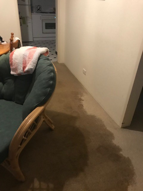 Emergency wet carpet damage under furniture 2018, Sydney