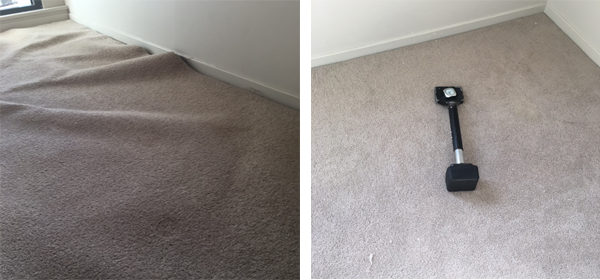 prevent and treat mould in Carpets, Sydney area