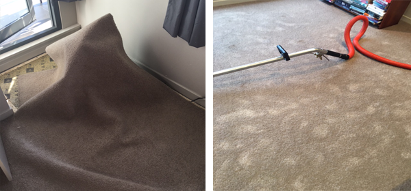 Sydney prevent and treat mould in Carpets