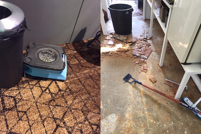 wet carpet repairs Sydney 2019 storm damage